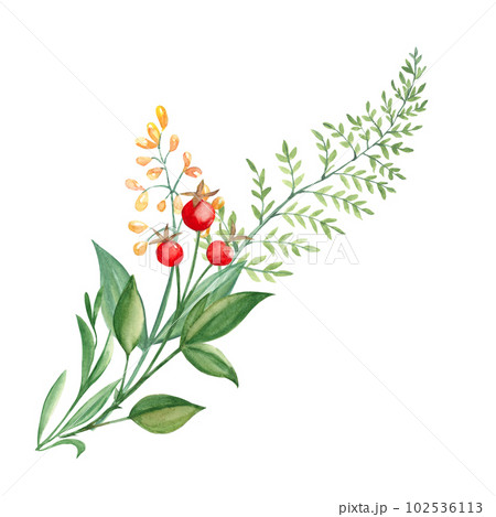 Watercolor summer bouquet of green branches, yellow wildflowers and red berries. Botanical hand drawn illustration isolated on white background. Can be used for greeting cards, invitations, floral Watercolor summer bouquet of green branches, yellow wildflowers and red berries. Botanical hand drawn illustration isolated on white background. Can be used for greeting cards, invitations, floral 102536113