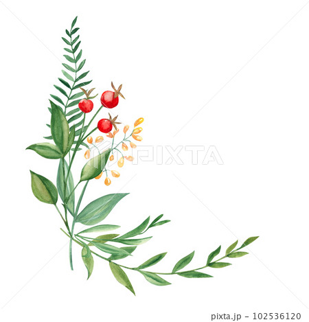 Watercolor summer bouquet of green branches, wildflowers and red berries. Botanical hand drawn illustration. Can be used for greeting cards, invitations, floral design. 102536120