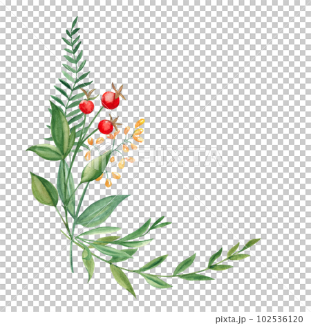 Watercolor summer bouquet of green branches, wildflowers and red berries. Botanical hand drawn illustration. Can be used for greeting cards, invitations, floral design. Watercolor summer bouquet of green branches, wildflowers and red berries. Botanical hand drawn illustration. Can be used for greeting cards, invitations, floral design. 102536120