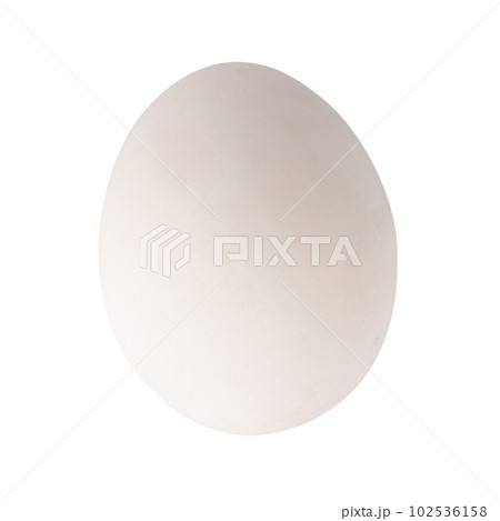 egg duck isolated on white background 102536158