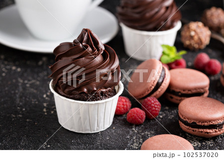 Chocolate cupcakes with thick and glossy frosting 102537020