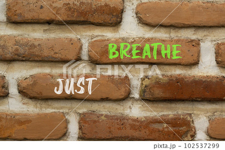 Just breathe and psychological symbol. Concept words Just breathe on beautiful red brown brick wall on beautiful red brown brick wall background. Business psychological Just breathe concept Copy space 102537299