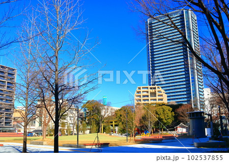 岐阜市・金公園側から柳ケ瀬グラッスル35を撮ってみた 岐阜市・金公園側から柳ケ瀬グラッスル35を撮ってみた 102537855