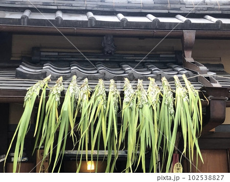 軒菖蒲で邪気を祓う京都の古民家 102538827