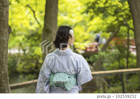 着物を着た女性の後ろ姿 102539252