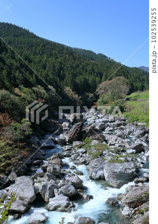 吊り橋から渓流を眺める　（高知県　土佐町　瀬戸川取水堰上流） 102539255