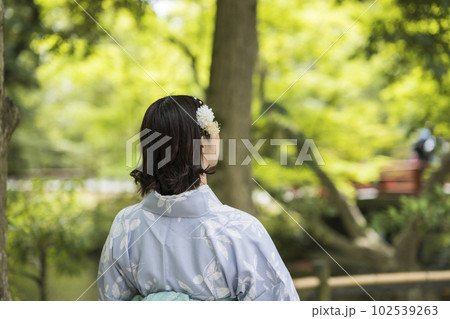 着物を着た女性の後ろ姿 着物を着た女性の後ろ姿 102539263