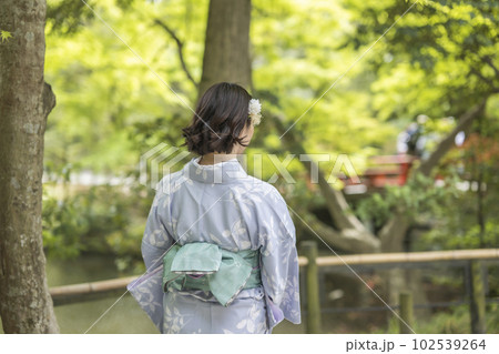 着物を着た女性の後ろ姿 着物を着た女性の後ろ姿 102539264