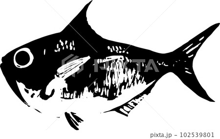 キンメダイの魚拓のイラスト 102539801