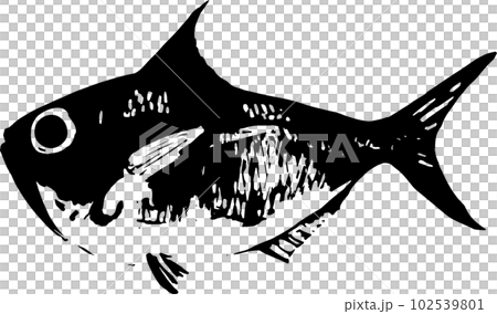 キンメダイの魚拓のイラスト 102539801