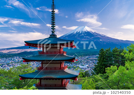 （山梨県）日本の美・新緑の新倉山浅間公園から望む富士山　夕景 102540350