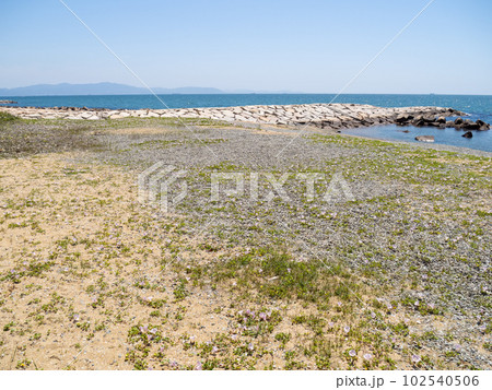 初夏の播磨灘の風景。兵庫県明石市内の海岸。 102540506