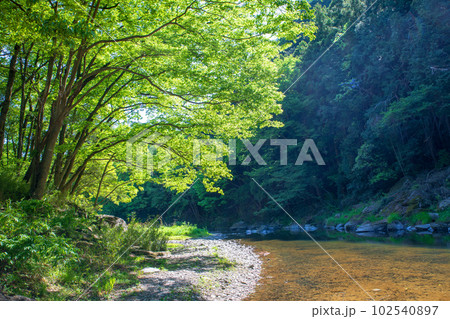 嵐山渓谷 槻川 新緑の風景 武蔵の小京都 嵐山渓谷 槻川 新緑の風景 武蔵の小京都 102540897