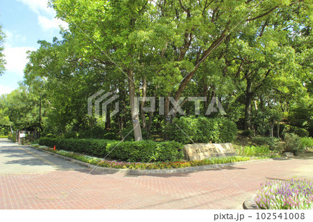 上坂部西公園(尼崎市都市緑化植物園)／兵庫県尼崎市東塚口町2丁目 102541008