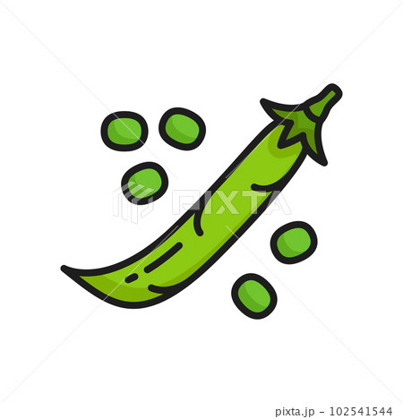 Green pod of pea or kidney bean legume isolated raw vegetarian food color line icon. Vector superfood plant, common kidney bean in closed pod Green pod of pea or kidney bean legume isolated raw vegetarian food color line icon. Vector superfood plant, common kidney bean in closed pod 102541544