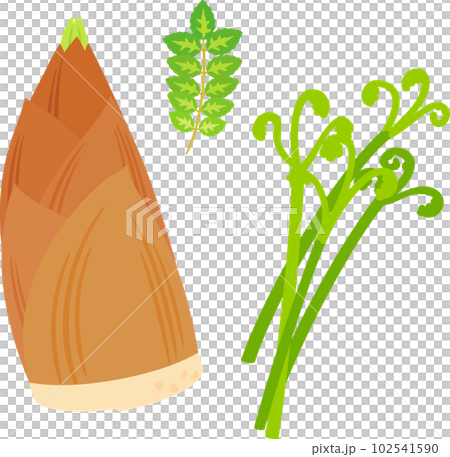 タケノコと木の芽とワラビ 102541590