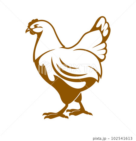 Hen icon. Chicken farm and poultry meat market emblem. Domestic bird farm graphic icon, livestock agriculture vintage symbol or poultry meat production company vector icon with hen Hen icon. Chicken farm and poultry meat market emblem. Domestic bird farm graphic icon, livestock agriculture vintage symbol or poultry meat production company vector icon with hen 102541613