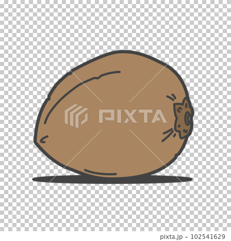 從樹上掉下來的椰子、棕櫚樹和有外皮的椰子 102541629