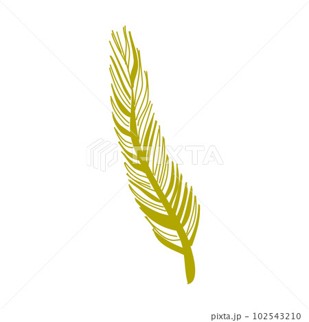 Elements of botany underwater marine plants, flora. Algae and corals. Design of a summer banner, poster. Isolated vector flat illustration. 102543210