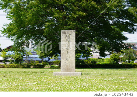 国指定史跡 相模国分寺跡 石柱 国指定史跡 相模国分寺跡 石柱 102543442