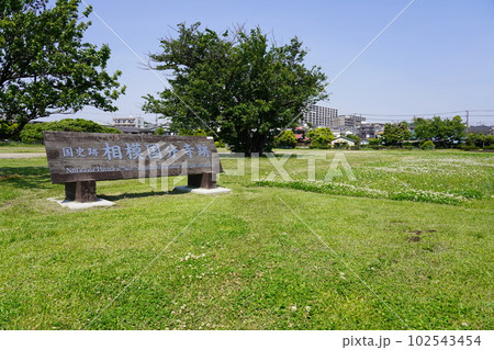 国指定史跡 相模国分寺跡 102543454