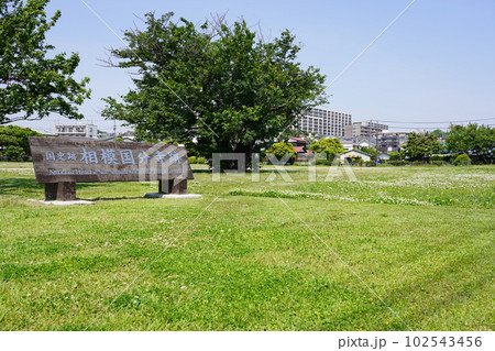 国指定史跡 相模国分寺跡 102543456