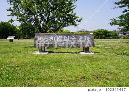 国指定史跡 相模国分寺跡 102543457