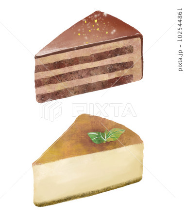 チョコレートケーキとチーズケーキ 102544861