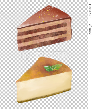 チョコレートケーキとチーズケーキ 102544861