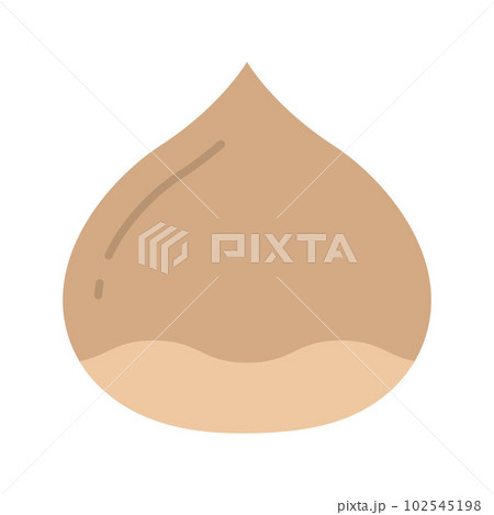Chestnut icon vector image. Suitable for mobile apps, web apps and print media. 102545198