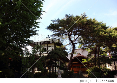 中野区にある蓮華寺の境内 中野区にある蓮華寺の境内 102545686