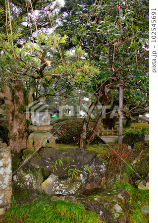 金沢 文化財指定庭園 特別名勝 兼六園 金沢 文化財指定庭園 特別名勝 兼六園 102545691