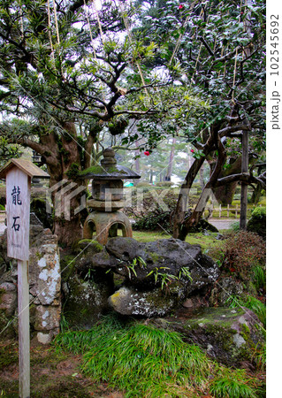 金沢 文化財指定庭園 特別名勝 兼六園 金沢 文化財指定庭園 特別名勝 兼六園 102545692