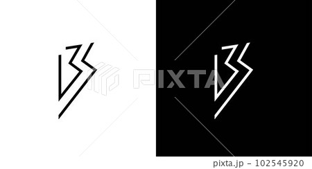 Modern and unique letter BS initials logo design Modern and unique letter BS initials logo design 102545920