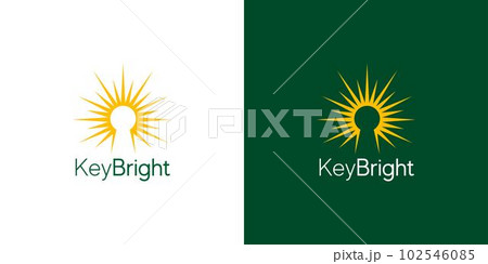 Unique and modern key to success logo design 3 102546085