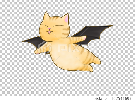 長著蝙蝠翅膀的貓 102546693