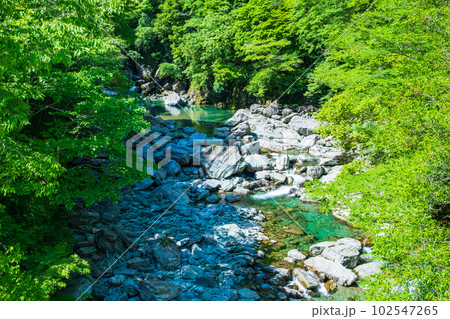 安居渓谷(仁淀ブルー) 安居渓谷(仁淀ブルー) 102547265