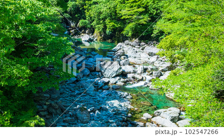 安居渓谷（仁淀ブルー） 102547266