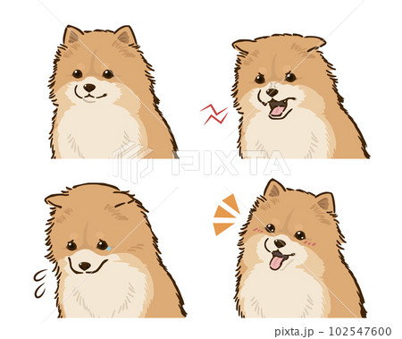 ポメラニアンの喜怒哀楽セット（オレンジ） 102547600