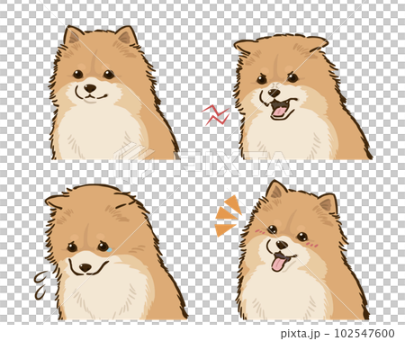 ポメラニアンの喜怒哀楽セット（オレンジ） 102547600