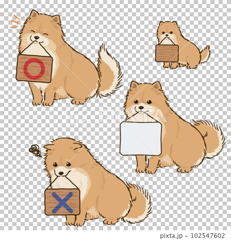 拿著招牌的博美犬(橙色) 拿著招牌的博美犬(橙色) 102547602