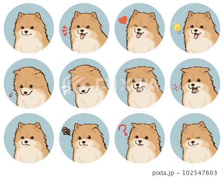 ポメラニアンの表情アイコンセット（オレンジ） 102547603