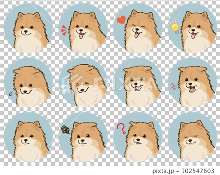 博美犬面部表情圖標集（橙色） 102547603