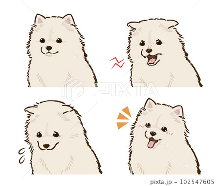 ポメラニアンの喜怒哀楽セット（白） 102547605