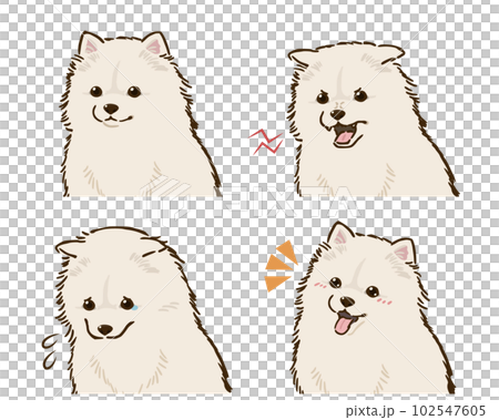ポメラニアンの喜怒哀楽セット（白） 102547605