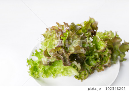 Red lettuce in a white bowl. Red lettuce in a white bowl. 102548293