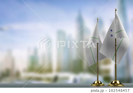 Small flags of the Mercosur on an abstract blurry background Small flags of the Mercosur on an abstract blurry background 102548457