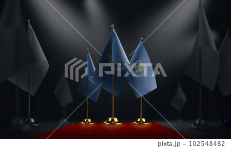 The World Health Organization WHO national flag on the red carpet 102548482