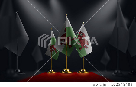 The Wales national flag on the red carpet The Wales national flag on the red carpet 102548483