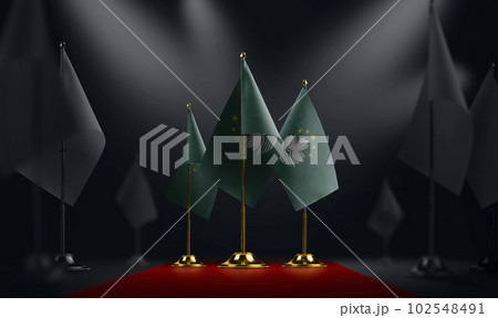 The Macao national flag on the red carpet 102548491